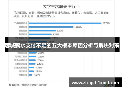蓉城薪水支付不足的五大根本原因分析与解决对策