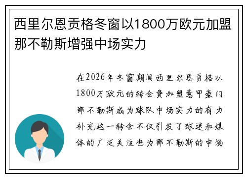 西里尔恩贡格冬窗以1800万欧元加盟那不勒斯增强中场实力